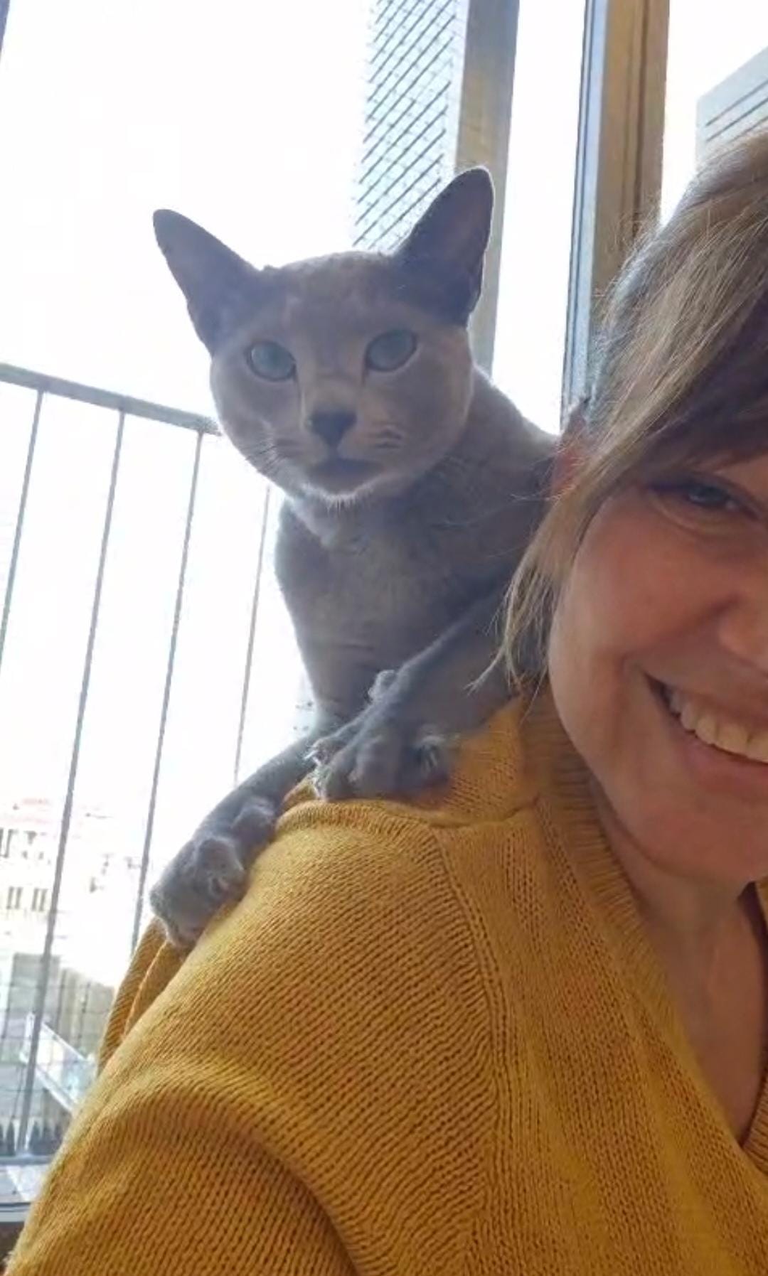 Gato feliz en su visita con Gaticidad en Barcelona